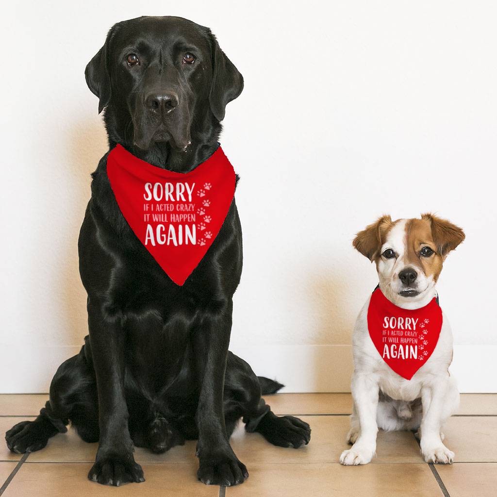 Acted Crazy Pet Bandana Collar - Funny Scarf Collar - Colorful Dog Bandana Size : S|M|L|XL 