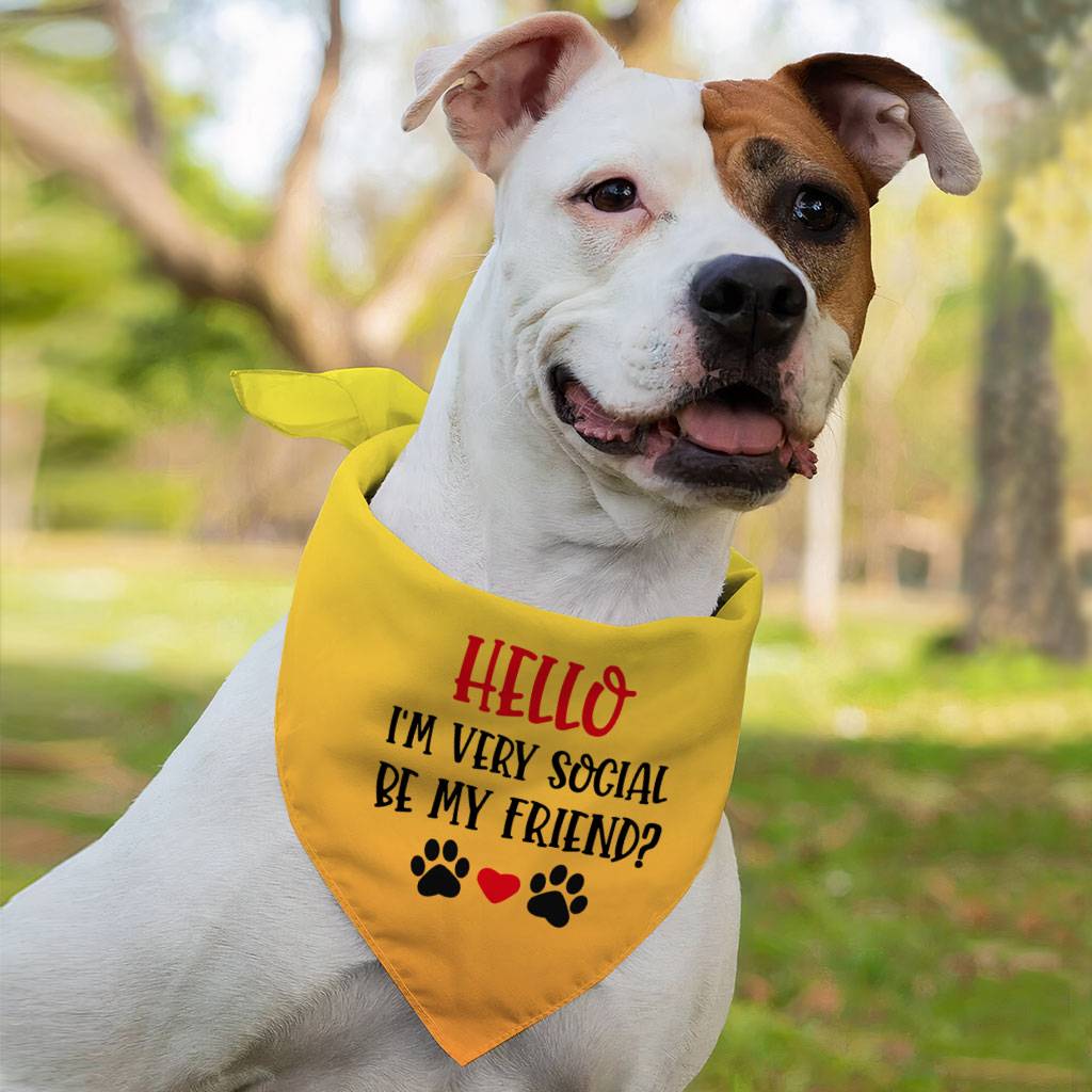 Friend Pet Bandana - Colorful Dog Bandana - Printed Pet Scarf Size : S|M|L 