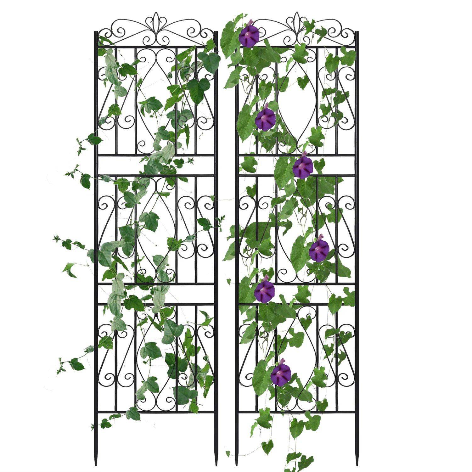 Elegant 2PCS Metal Garden Trellis Color : Black 